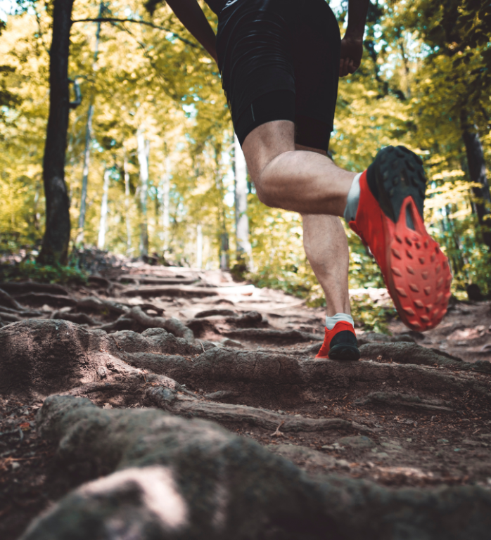 Chirurgie orthopédique et traumatologie
